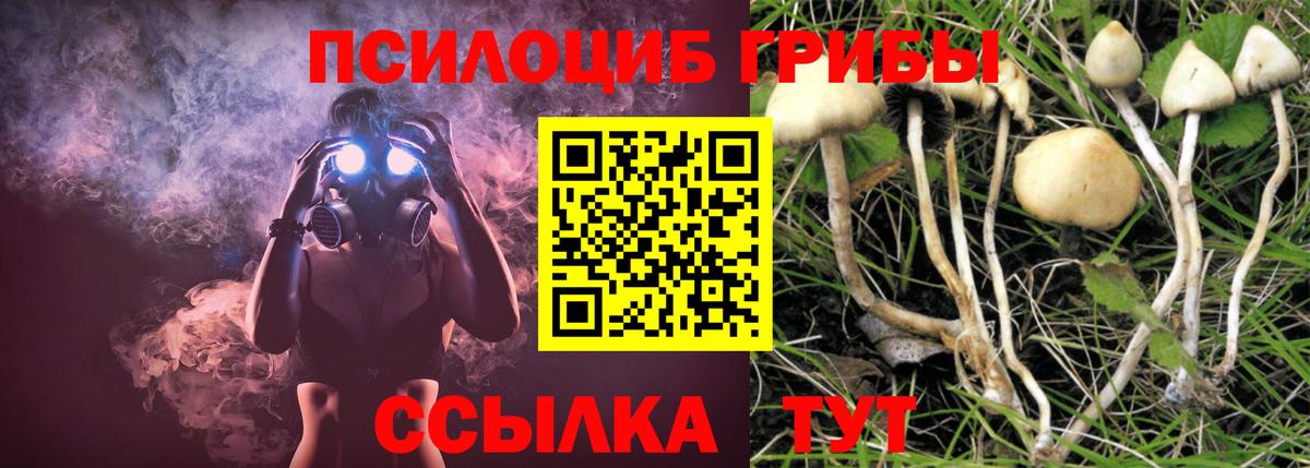Галлюциногенные грибы Psilocybe Аша