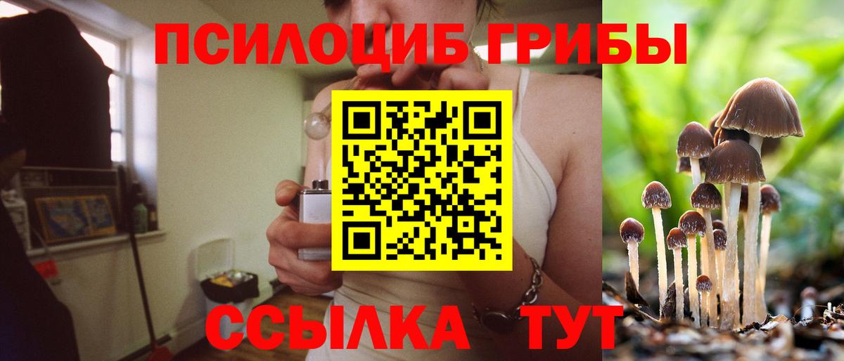 Аша  Галлюциногенные грибы Psilocybine cubensis  Вход с VPN 